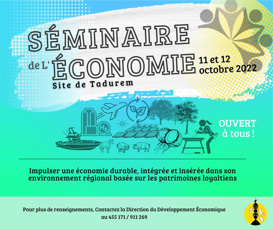 SEMINAIRES ECONOMIQUES ILES