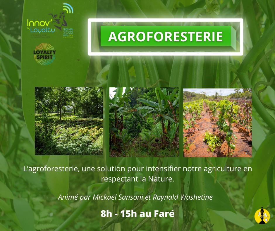 agroforesterie