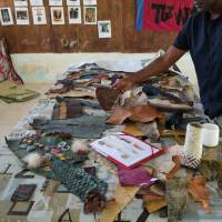 tannage poisson lifou