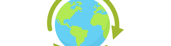 économie intégrée