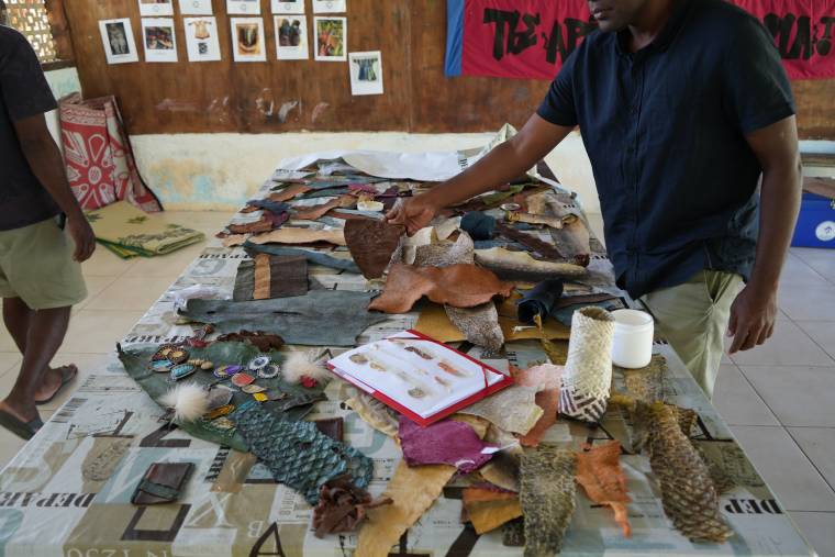 tannage poisson lifou